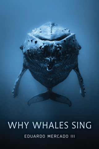 WHY WHALES SING 1