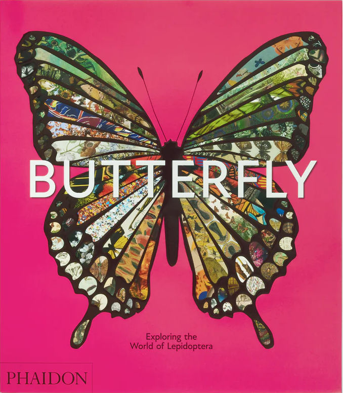 BUTTERFLY: EXPLORING THE WORLD OF LEPIDOPTERA 1