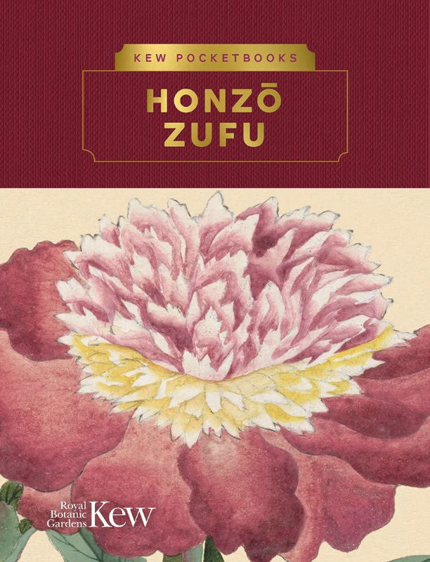 KEW POCKETBOOKS: HONZO ZUFU 1