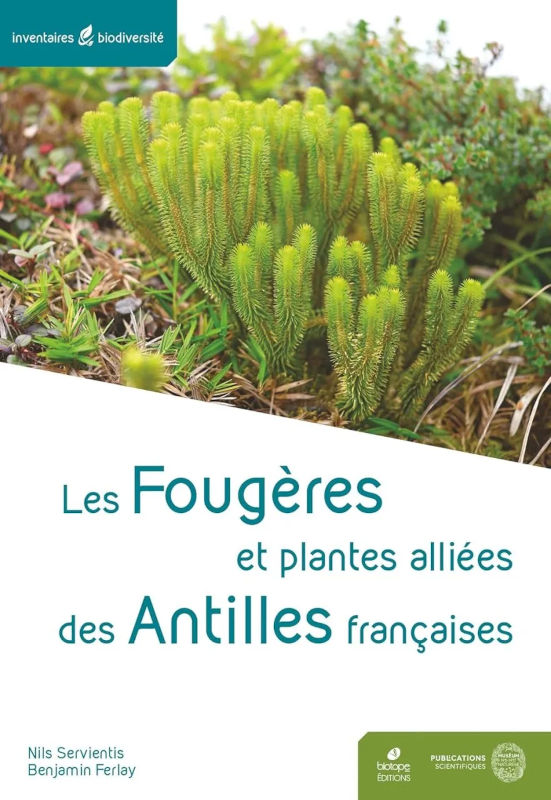 LES FOUGÈRES ET PLANTES ALLIÉES DES ANTILLES FRANÇAISES 1
