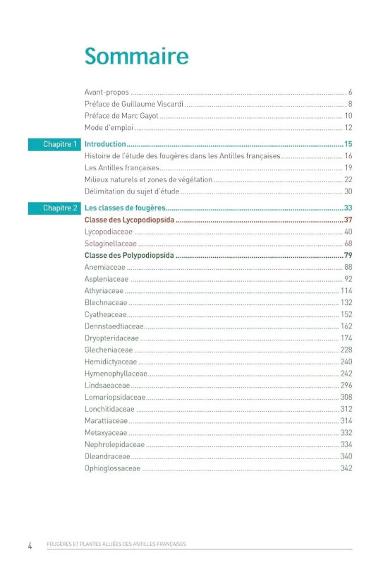 LES FOUGÈRES ET PLANTES ALLIÉES DES ANTILLES FRANÇAISES 3