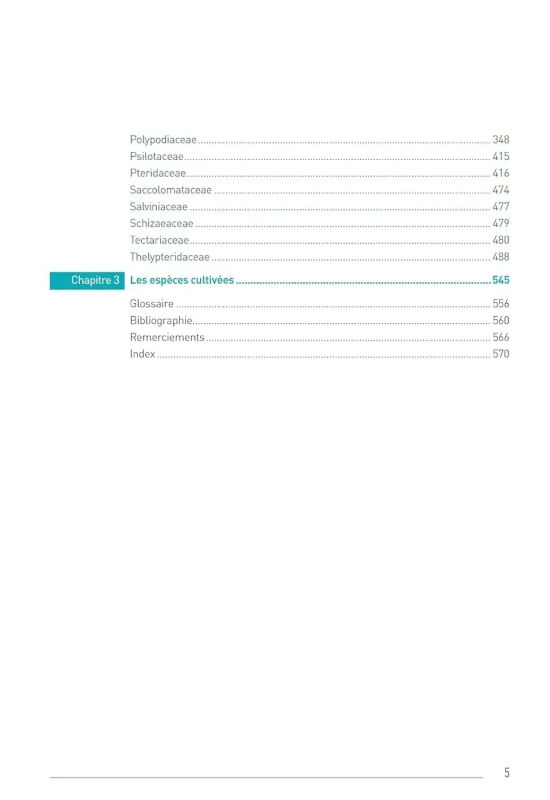 LES FOUGÈRES ET PLANTES ALLIÉES DES ANTILLES FRANÇAISES 4