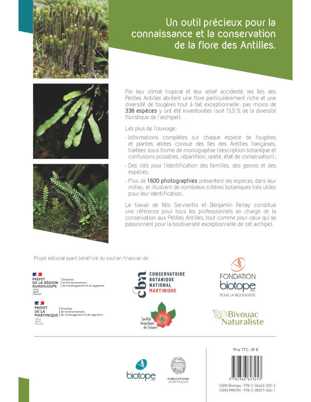 LES FOUGÈRES ET PLANTES ALLIÉES DES ANTILLES FRANÇAISES 2