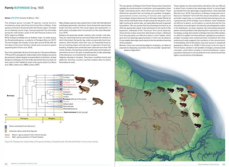HANDBOOK OF AMPHIBIANS OF FRENCH GUIANA 3