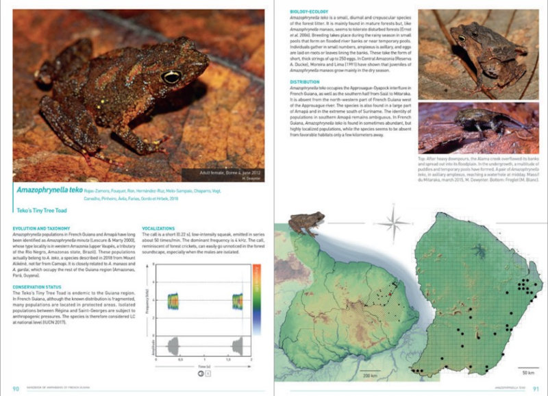 HANDBOOK OF AMPHIBIANS OF FRENCH GUIANA 5