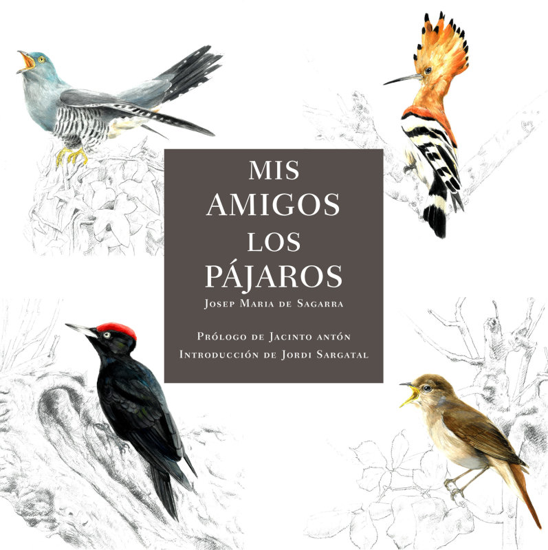 MIS AMIGOS LOS PÁJAROS 1