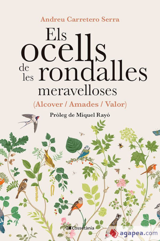 ELS OCELLS DE LES RONDALLES MERAVELLOSES 1