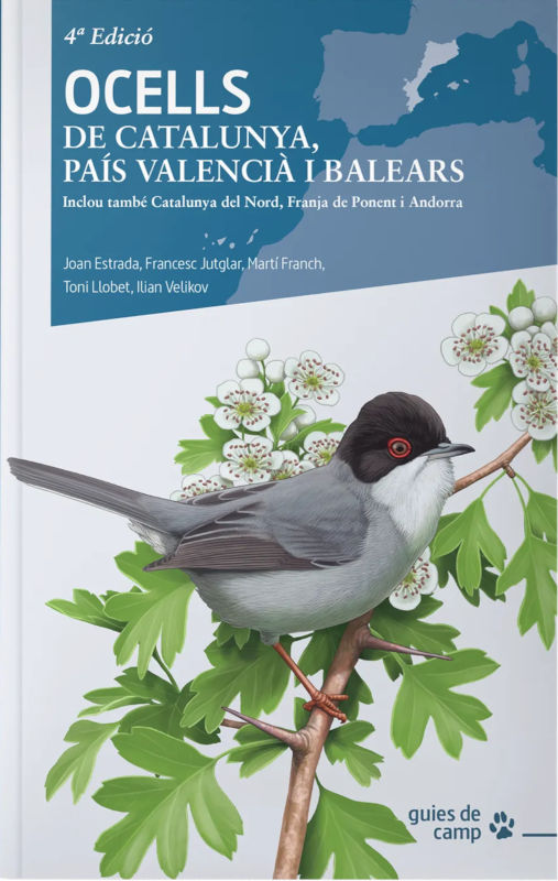 OCELLS DE CATALUNYA, PAÍS VALENCIÀ I BALEARS. 4A EDICIÓ 1