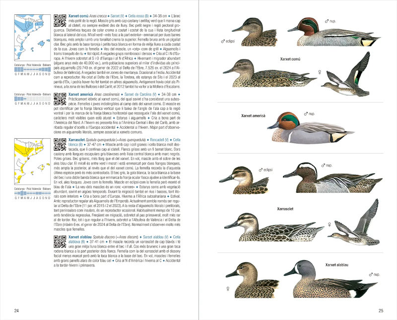 OCELLS DE CATALUNYA, PAÍS VALENCIÀ I BALEARS. 4A EDICIÓ 2