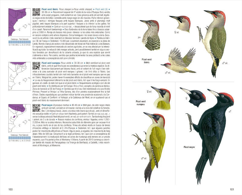 OCELLS DE CATALUNYA, PAÍS VALENCIÀ I BALEARS. 4A EDICIÓ 3
