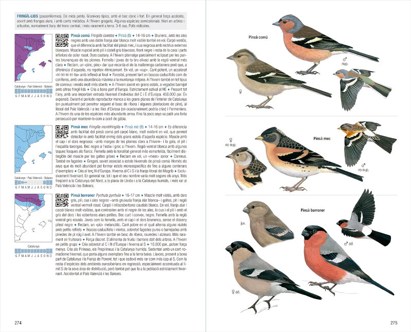 OCELLS DE CATALUNYA, PAÍS VALENCIÀ I BALEARS. 4A EDICIÓ 4