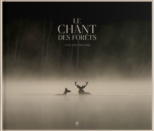 LE CHANT DES FORÊTS 1