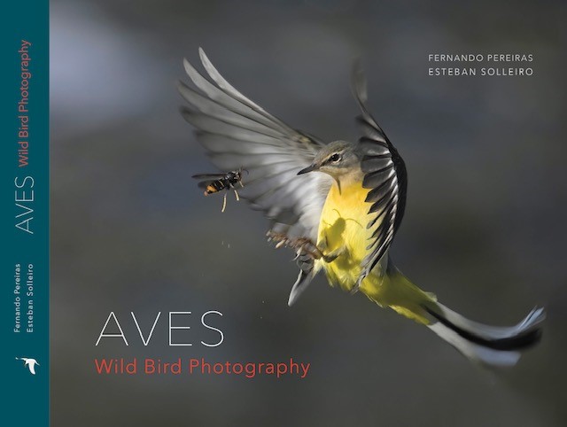AVES. WILD BIRD PHOTOGRAPHY 1