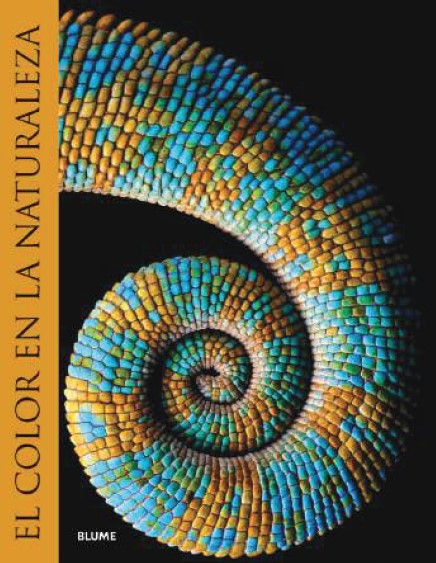 EL COLOR EN LA NATURALEZA 1