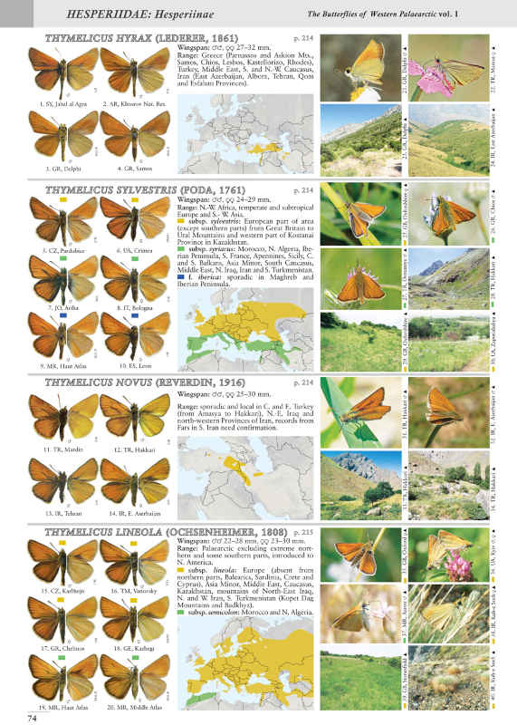 BUTTERFLIES OF THE WESTERN PALAEARCTIC. VOLUME 1: HESPERIIDAE, PAPILIONIDAE, PIERIDAE, LYCAENIDAE (PARTIM) 3