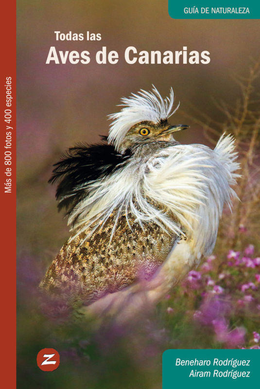TODAS LAS AVES DE CANARIAS 1