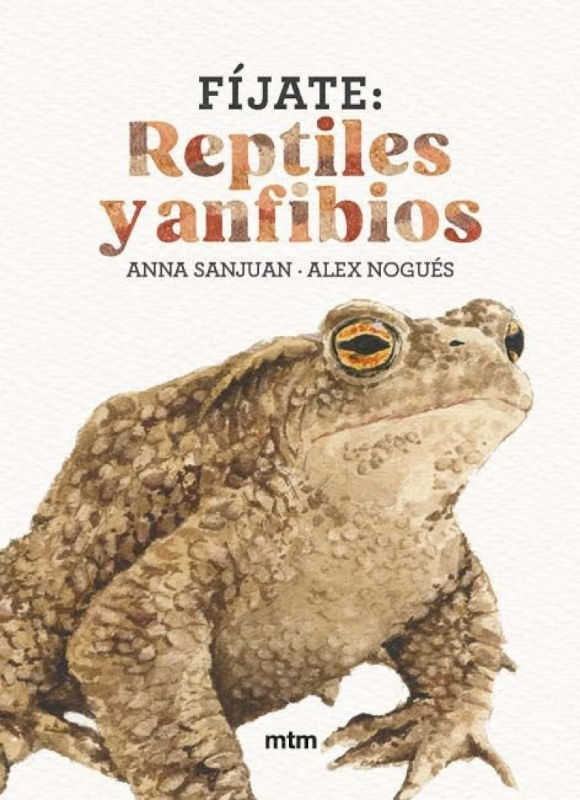 FÍJATE REPTILES Y ANFIBIOS 1
