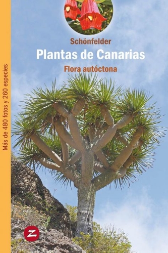 PLANTAS DE CANARIAS. FLORA AUTÓCTONA 1