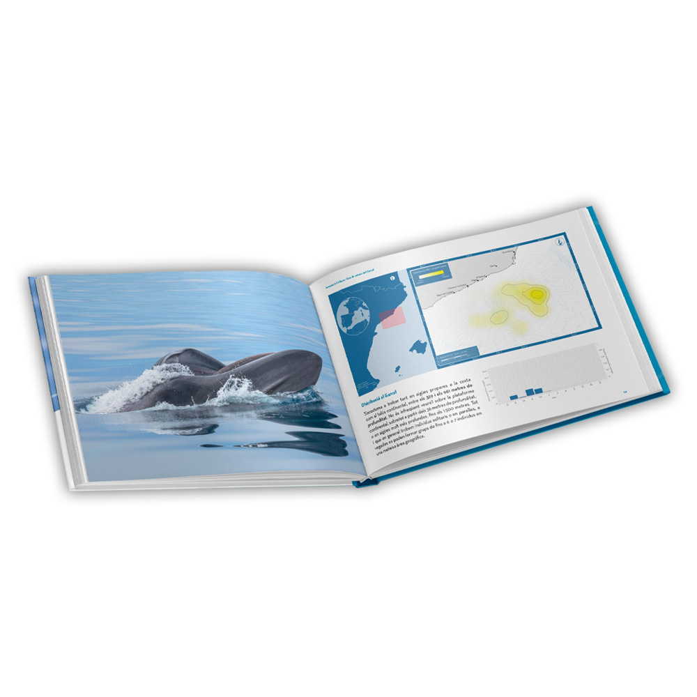 GUIA DE CETACIS. COSTA DEL GARRAF 2