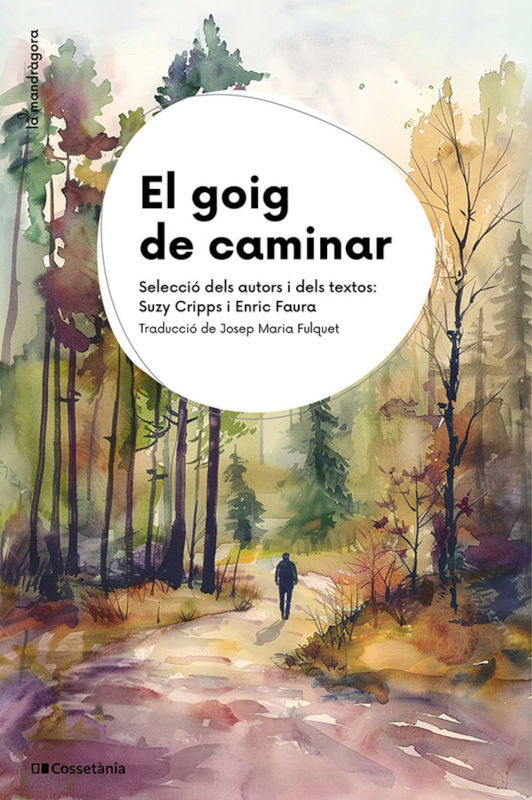 EL GOIG DE CAMINAR 1