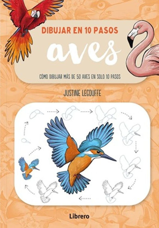 DIBUJAR EN 10 PASOS AVES. CÓMO DIBUJAR MÁS DE 50 AVES EN SOLO 10 PASOS 1