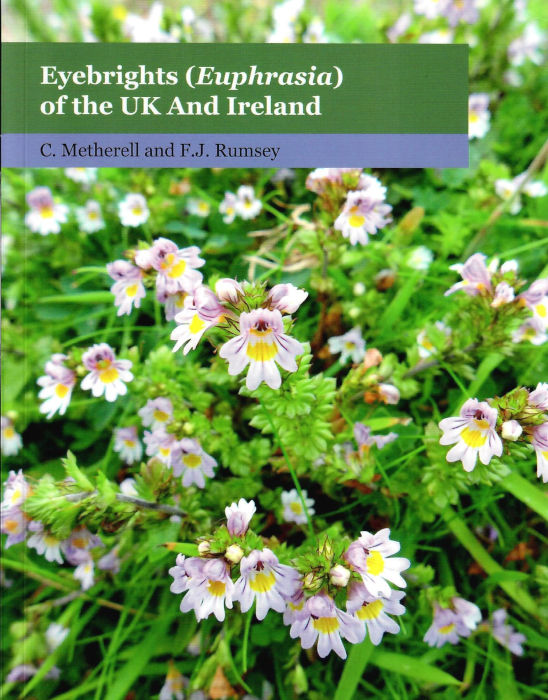 EYEBRIGHTS (EUPHRASIA) OF THE UK AND IRELAND 1