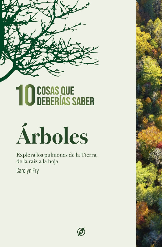 10 COSAS QUE DEBERÍAS SABER SOBRE LOS ÁRBOLES 1