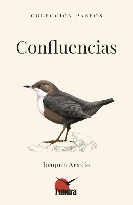 CONFLUENCIAS. COLECCIÓN PASEOS 1