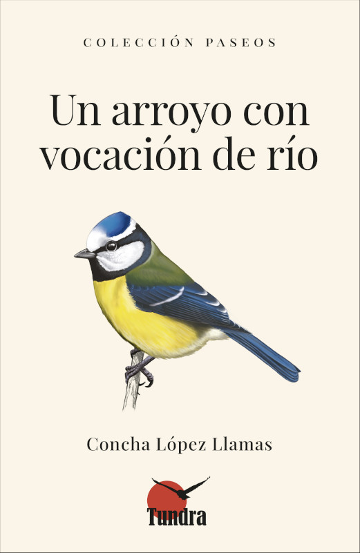 UN ARROYO CON VOCACIÓN DE RÍO. COLECCIÓN PASEOS 1