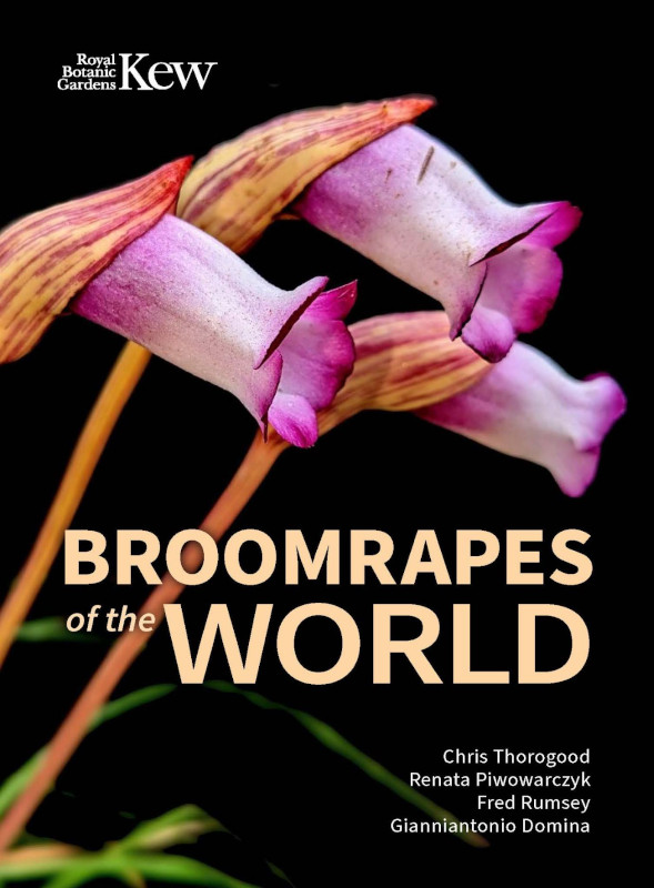BROOMRAPES OF THE WORLD 1