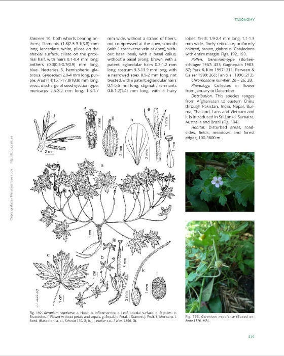 A MONOGRAPH OF THE GENUS GERANIUM L. (GERANIACEAE) 3