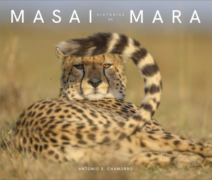 HISTORIAS DE MASAI MARA 1