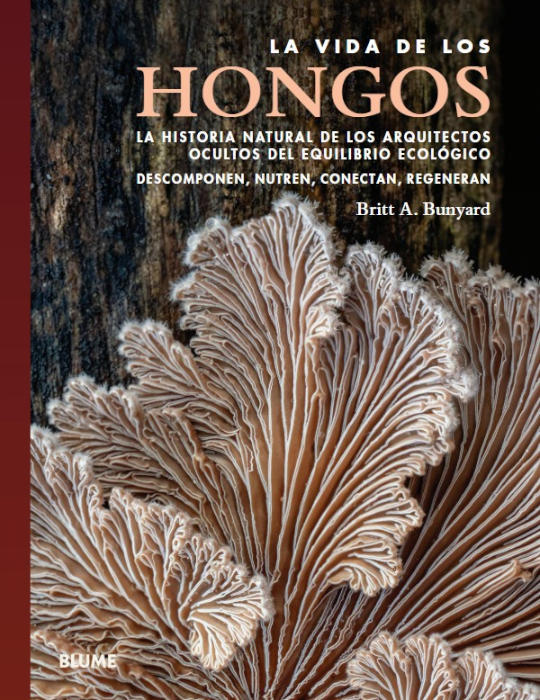 LA VIDA DE LOS HONGOS. LA HISTORIA NATURAL DE LOS ARQUITECTOS OCULTOS DEL EQUILIBRIO ECOLÓGICO. DESCOMPONEN, NUTREN, CONECTAN, REGENERAN 1