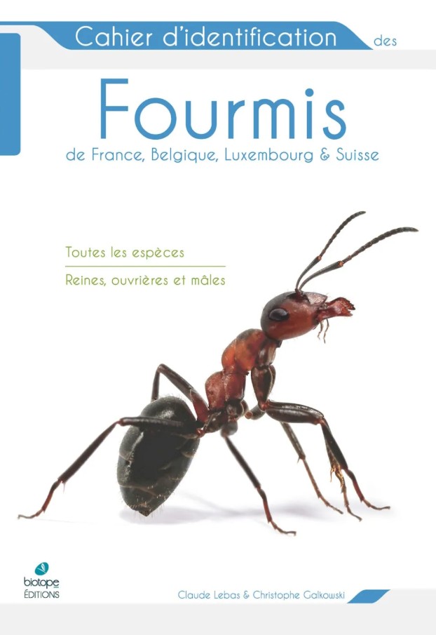 CHAIER D'IDENTIFICATION DES FOURMIS DE FRANCE, BELGIQUE, LUXEMBOURG ET SUISSE 1