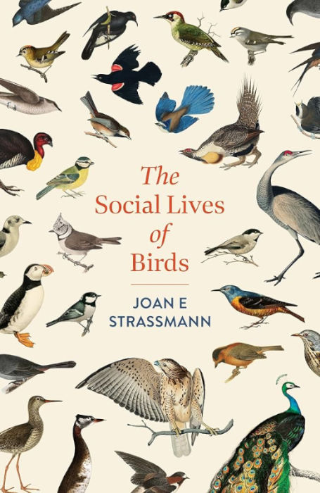 THE SOCIAL LIVES OF BIRDS. FLOCKS, COMMUNES AND FAMILIES 1