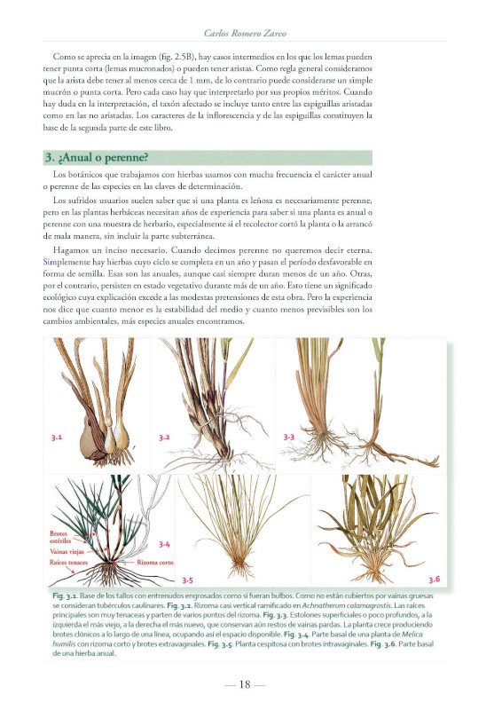 LAS GRAMÍNEAS FÁCILES. GUÍA VISUAL CON CLAVES PARA IDENTIFICAR LAS GRAMÍNEAS ÍBERO-BALEÁRICAS 3