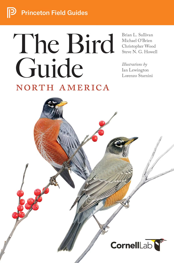 THE BIRD GUIDE: NORTH AMERICA 1
