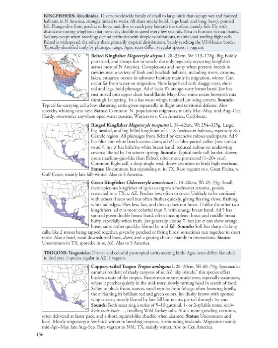 THE BIRD GUIDE: NORTH AMERICA 3