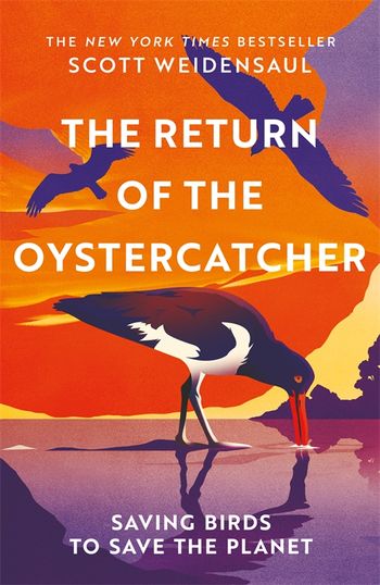 THE RETURN OF THE OYSTERCATCHER: SAVING BIRDS TO SAVE THE PLANET 1