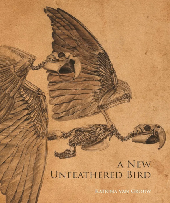 A NEW UNFEATHERED BIRD 1