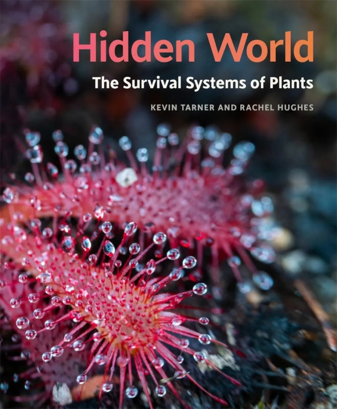 HIDDEN WORLD. THE SURVIVAL OF SYSTEMS OF PLANTS 1