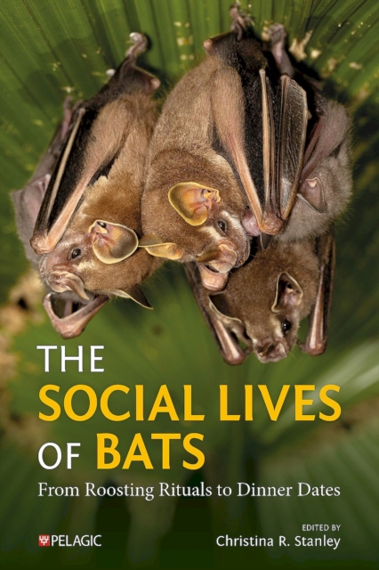 THE SOCIAL LIVES OF BATS. FROM ROOSTING RITUALS TO DINNER DATES 1