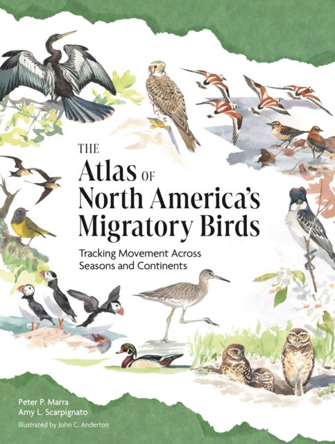 THE ATLAS OF NORTH AMERICA'S MIGRATORY BIRDS: TRACKING MOVEMENT ACROSS SEASONS AND CONTINENTS 1