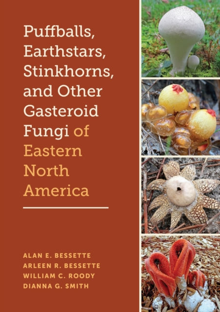 PUFFBALLS, EARTHSTARS, STINKHORNS, AND OTHER GASTEROID FUNGI OF EASTERN NORTH AMERICA 1