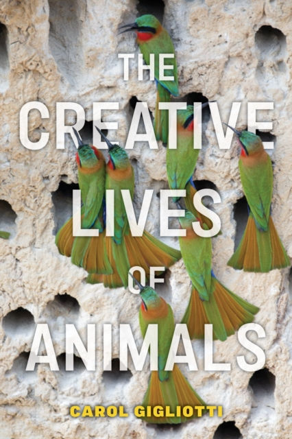 THE CREATIVE LIVES OF ANIMALS 1