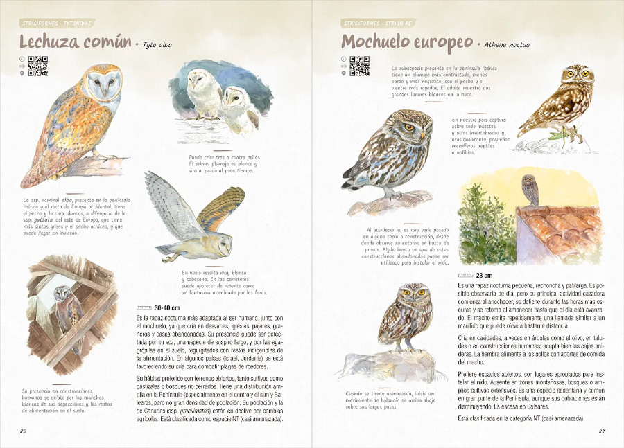 AVES. GUÍA DE INICIACIÓN A LA ORNITOLOGÍA 4