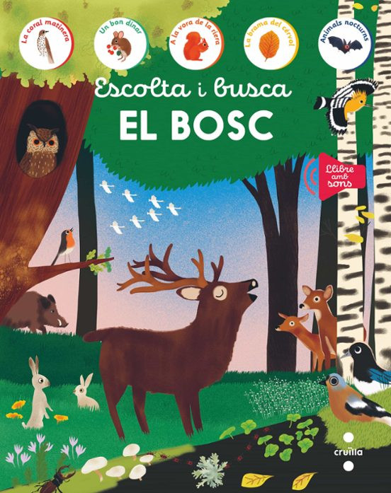 ESCOLTA I BUSCA. EL BOSC 1
