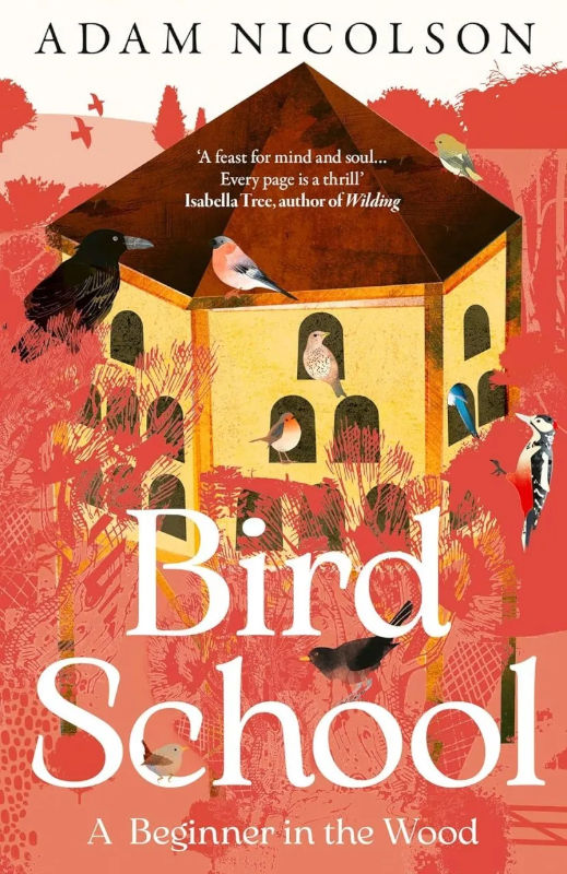 BIRD SCHOOL. A BEGINNER IN THE WOOD 1