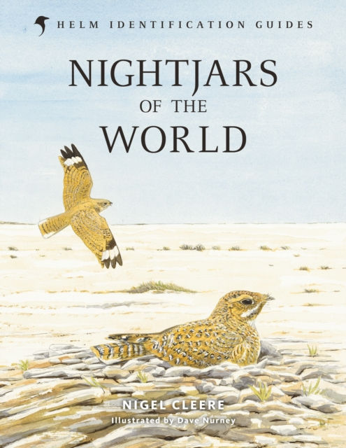 NIGHTJARS OF THE WORLD 1