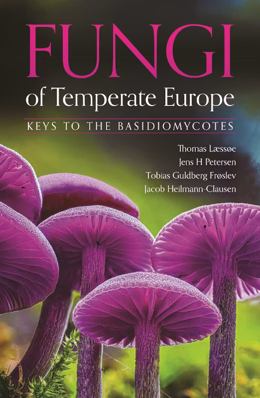 FUNGI OF TEMPERATE EUROPE: KEYS TO THE BASIDIOMYCETES 1